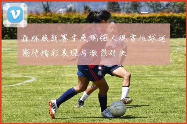 森林狼新赛季展现强大观赏性球迷期待精彩表现与激烈对决