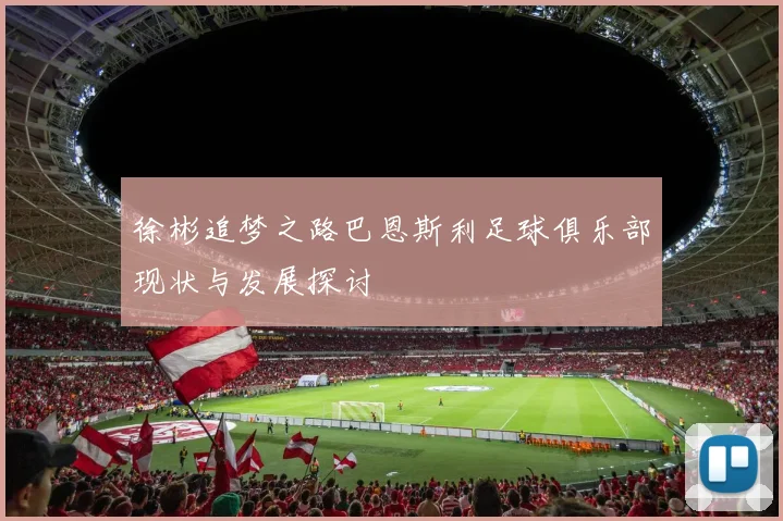 徐彬追梦之路巴恩斯利足球俱乐部现状与发展探讨