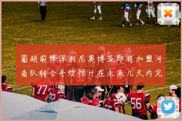 葡超前锋保利尼奥博亚即将加盟河南队转会手续预计在未来几天内完成